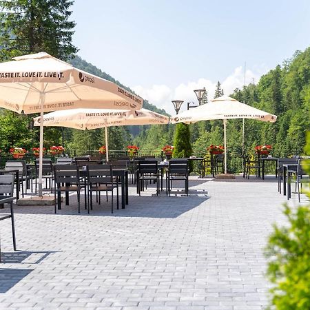Piscul Negru Hotel - Transfagarasan Cumpăna Exterior foto