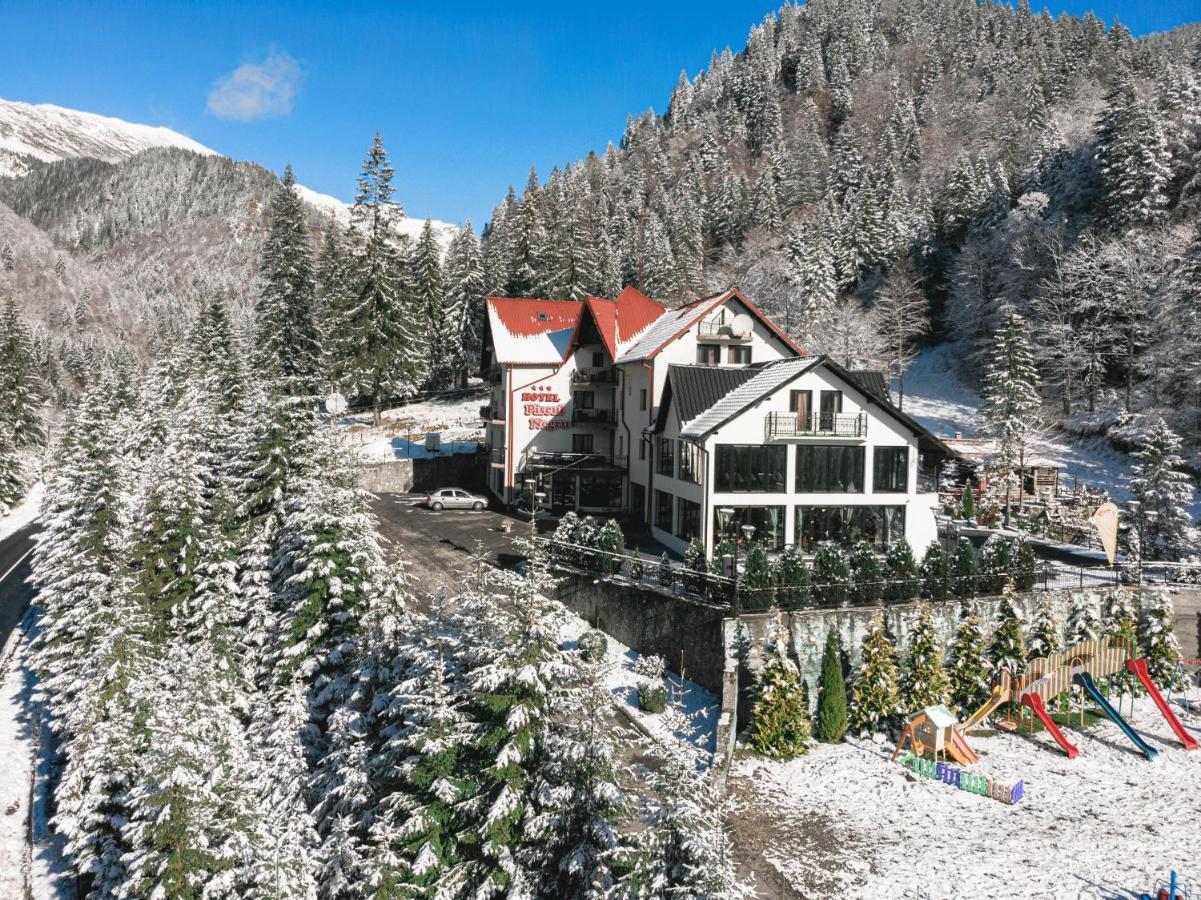 Piscul Negru Hotel - Transfagarasan Cumpăna Exterior foto