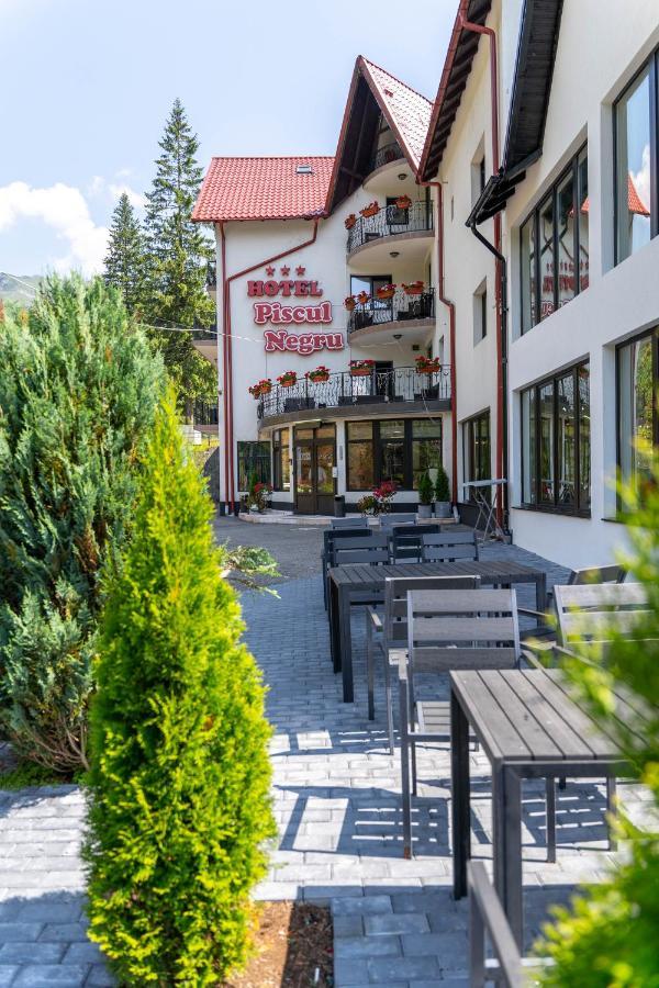 Piscul Negru Hotel - Transfagarasan Cumpăna Exterior foto